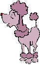 poodle2.wmf (9808 bytes)